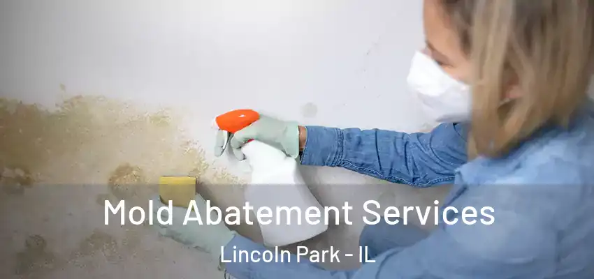 Mold Abatement Services Lincoln Park - IL