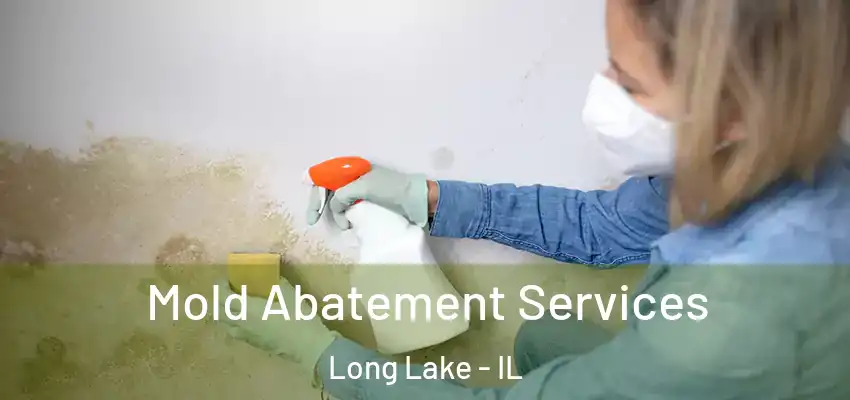 Mold Abatement Services Long Lake - IL