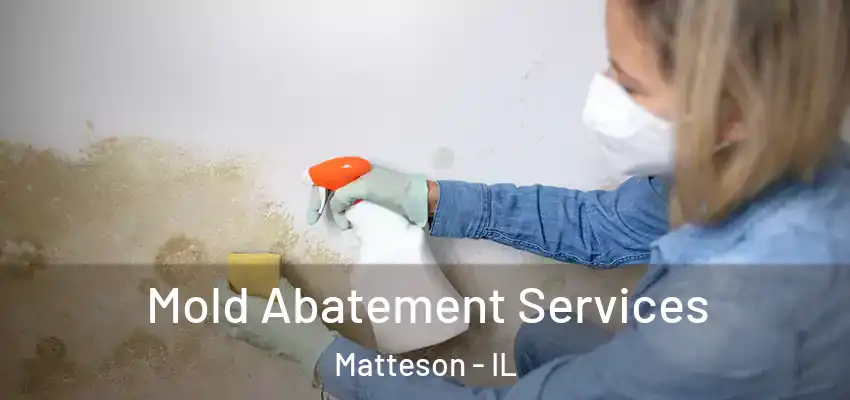 Mold Abatement Services Matteson - IL