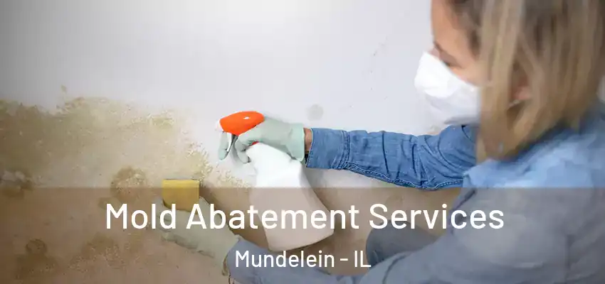 Mold Abatement Services Mundelein - IL