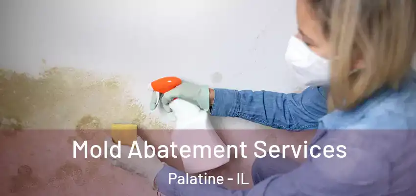 Mold Abatement Services Palatine - IL