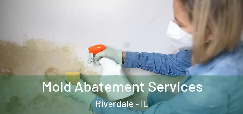 Mold Abatement Services Riverdale - IL