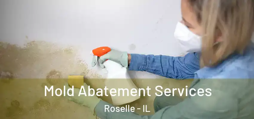  Mold Abatement Services Roselle - IL