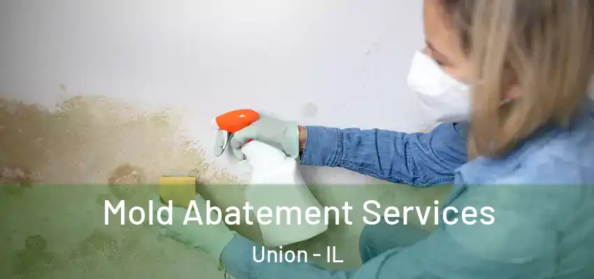 Mold Abatement Services Union - IL