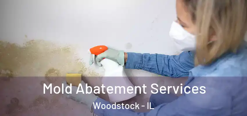  Mold Abatement Services Woodstock - IL