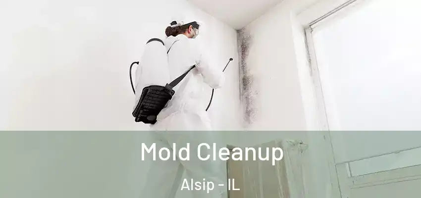  Mold Cleanup Alsip - IL