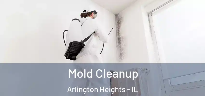 Mold Cleanup Arlington Heights - IL