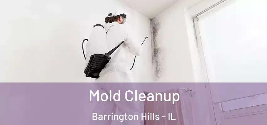  Mold Cleanup Barrington Hills - IL