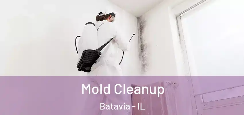  Mold Cleanup Batavia - IL