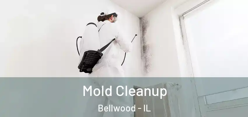  Mold Cleanup Bellwood - IL
