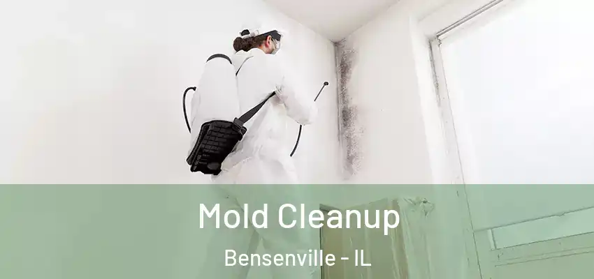  Mold Cleanup Bensenville - IL