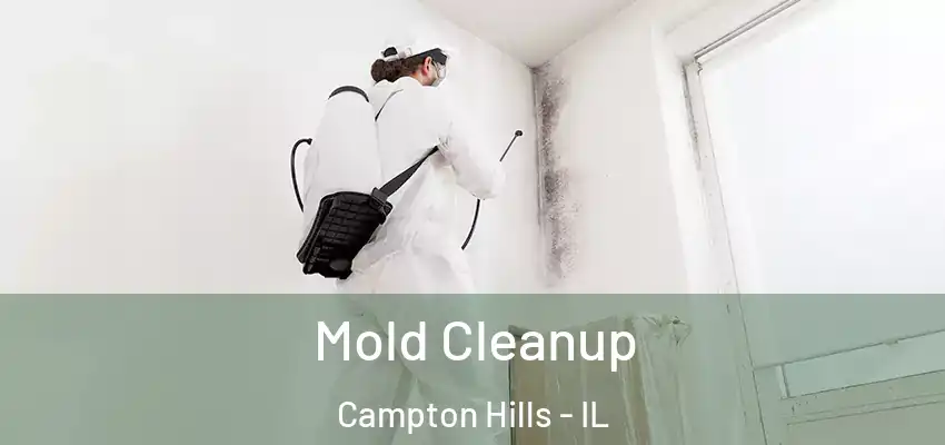  Mold Cleanup Campton Hills - IL