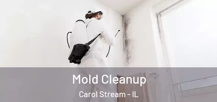  Mold Cleanup Carol Stream - IL