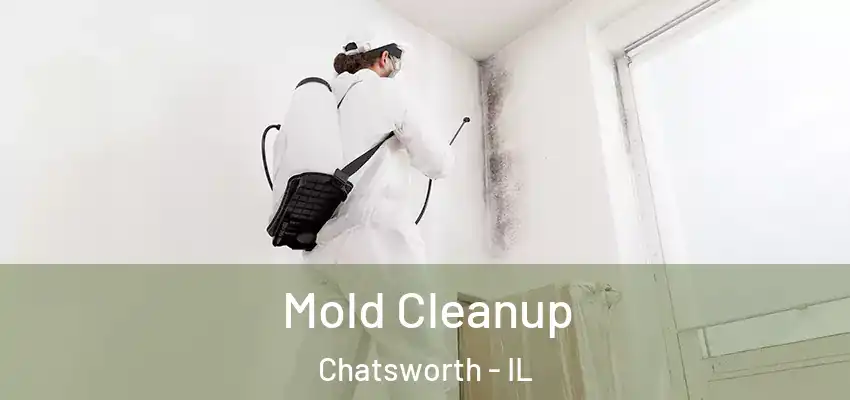 Mold Cleanup Chatsworth - IL