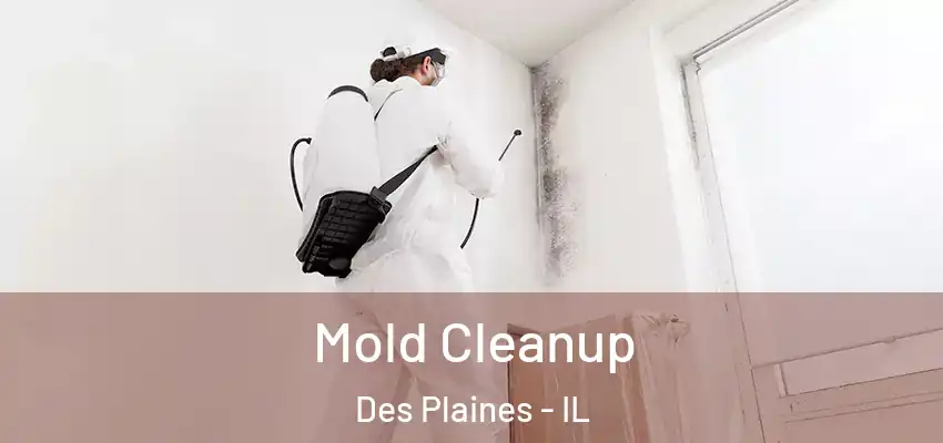  Mold Cleanup Des Plaines - IL