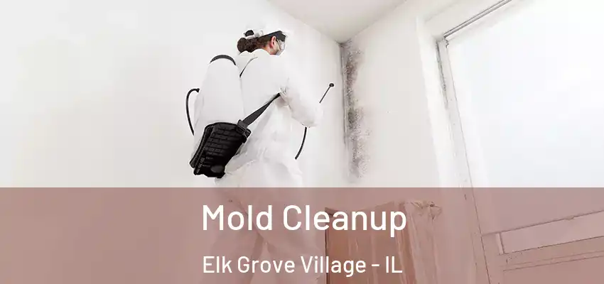 Mold Cleanup Elk Grove Village - IL