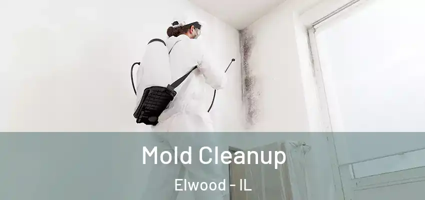 Mold Cleanup Elwood - IL