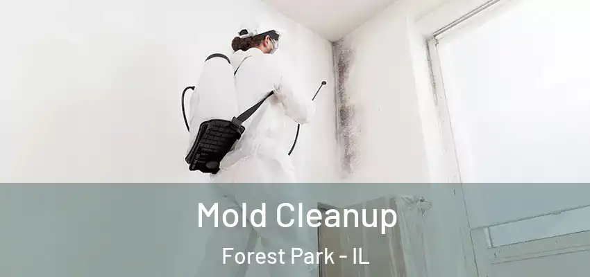 Mold Cleanup Forest Park - IL