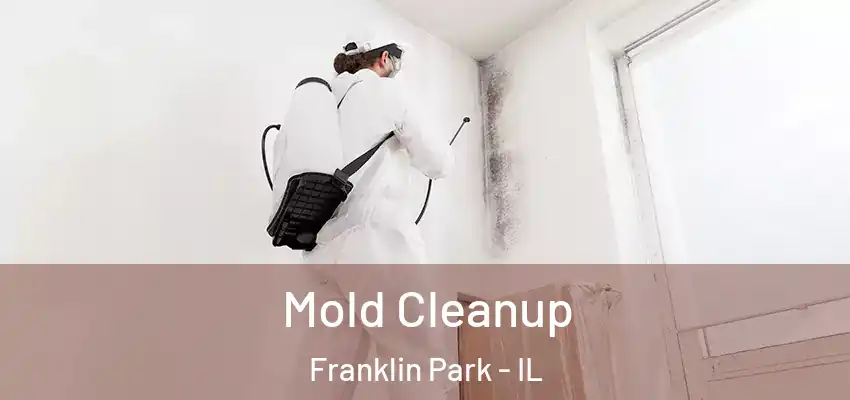 Mold Cleanup Franklin Park - IL