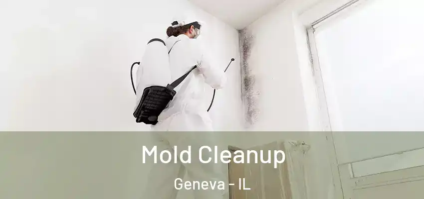  Mold Cleanup Geneva - IL