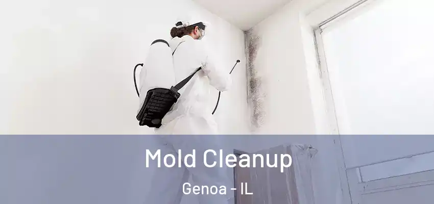 Mold Cleanup Genoa - IL