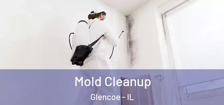  Mold Cleanup Glencoe - IL