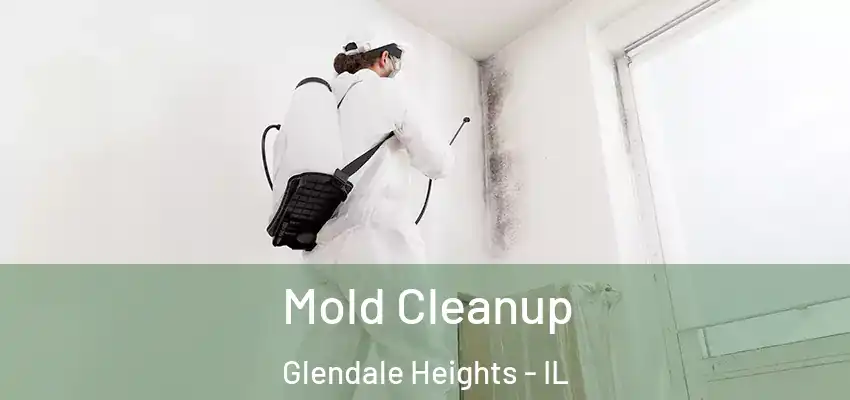 Mold Cleanup Glendale Heights - IL