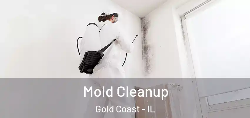 Mold Cleanup Gold Coast - IL