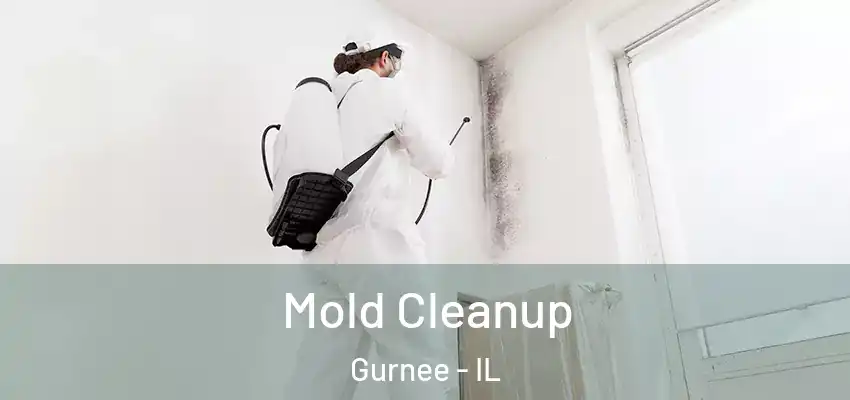  Mold Cleanup Gurnee - IL
