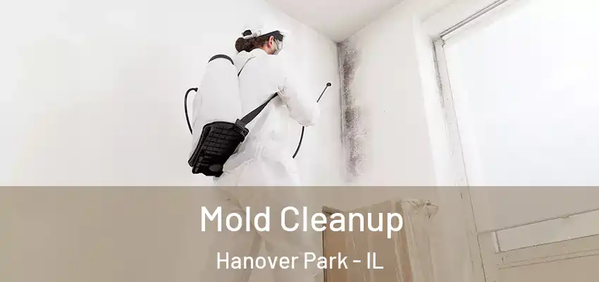 Mold Cleanup Hanover Park - IL