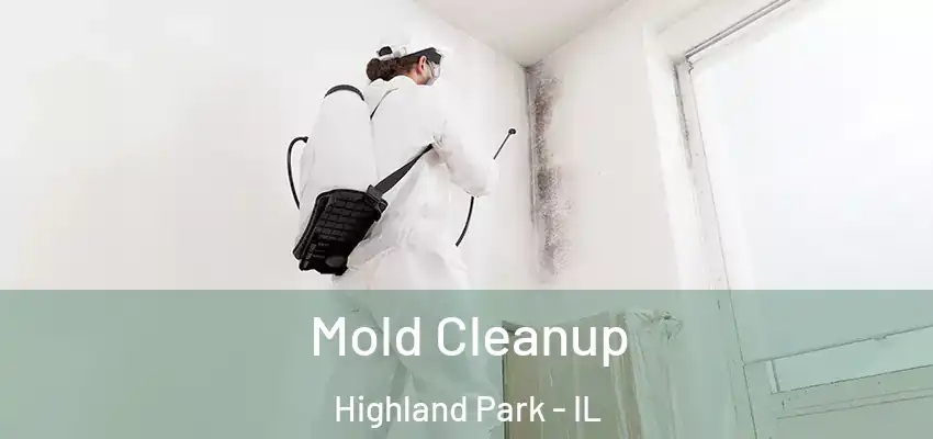  Mold Cleanup Highland Park - IL