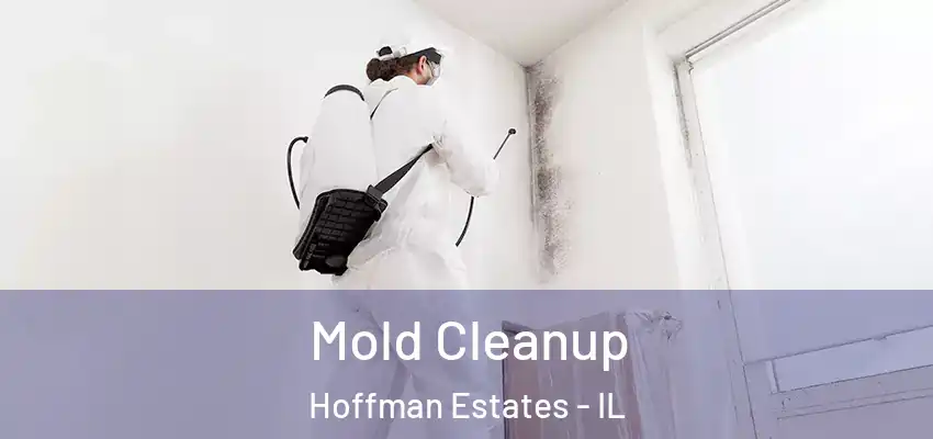  Mold Cleanup Hoffman Estates - IL