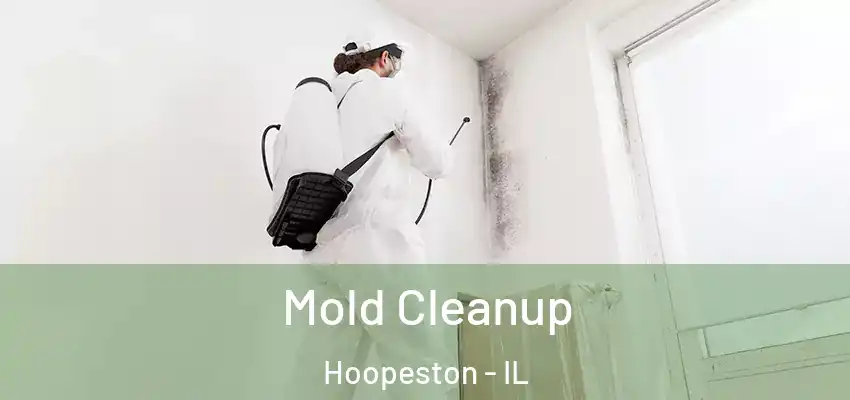 Mold Cleanup Hoopeston - IL
