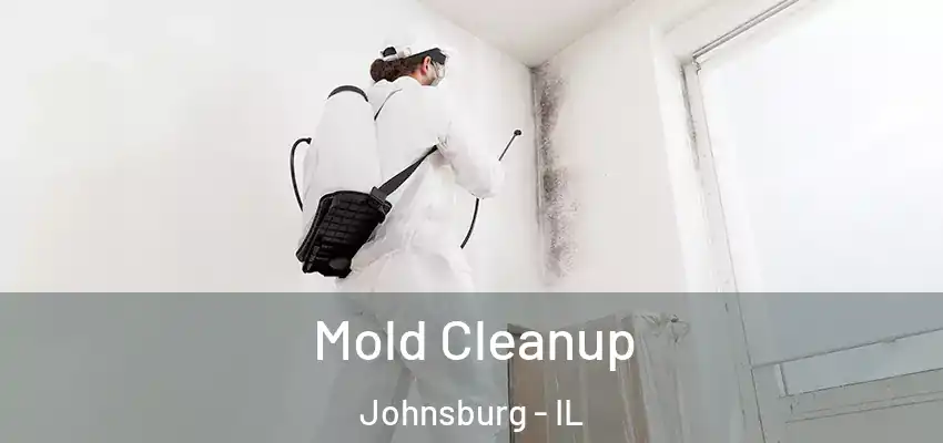  Mold Cleanup Johnsburg - IL