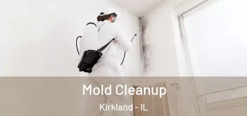 Mold Cleanup Kirkland - IL