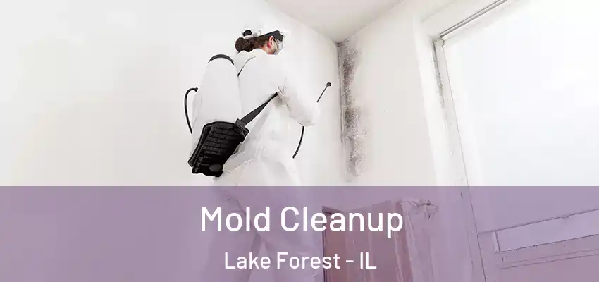  Mold Cleanup Lake Forest - IL