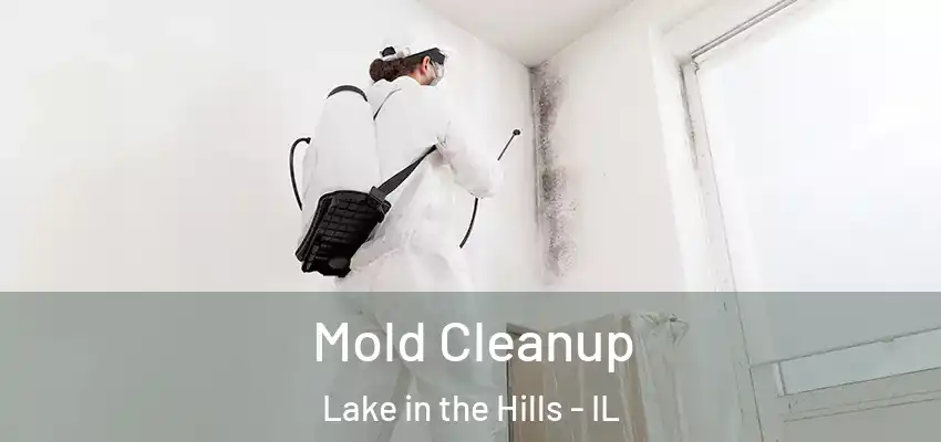 Mold Cleanup Lake in the Hills - IL
