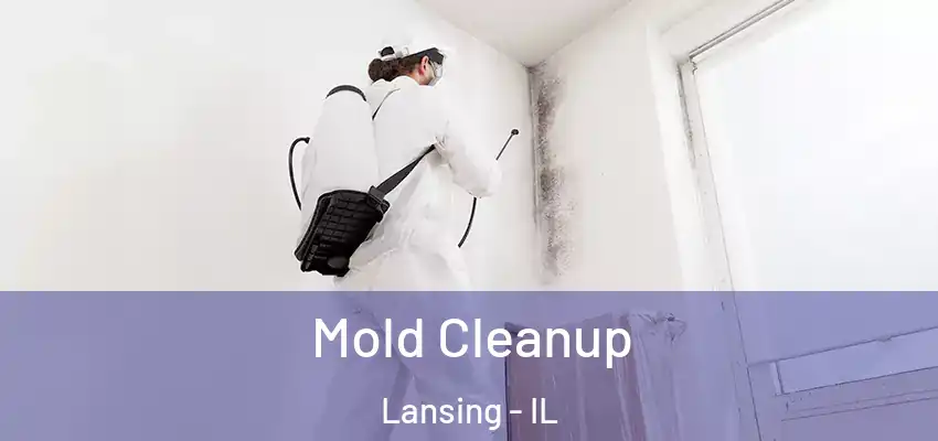  Mold Cleanup Lansing - IL