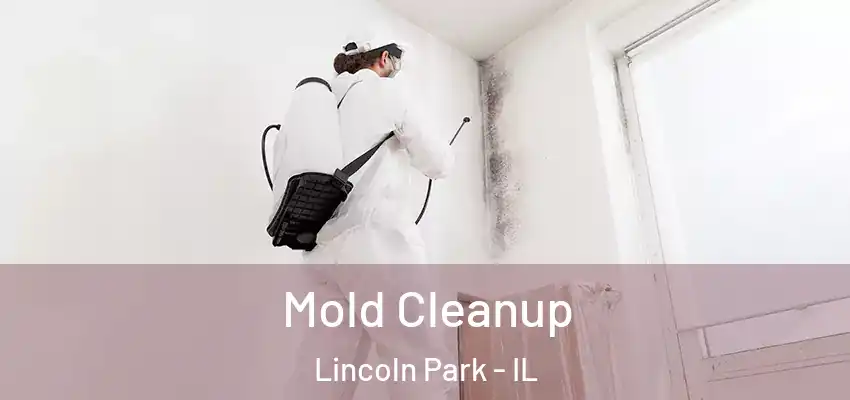 Mold Cleanup Lincoln Park - IL