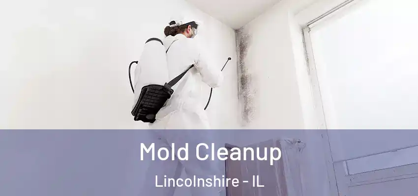 Mold Cleanup Lincolnshire - IL