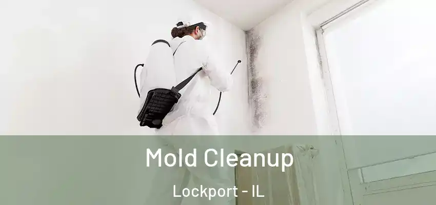  Mold Cleanup Lockport - IL