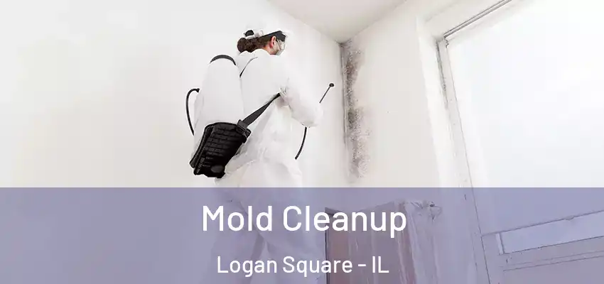  Mold Cleanup Logan Square - IL