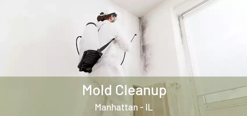  Mold Cleanup Manhattan - IL