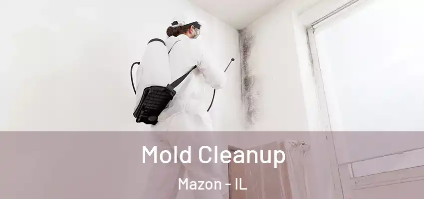  Mold Cleanup Mazon - IL