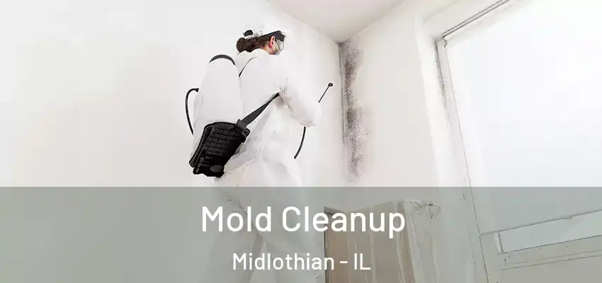  Mold Cleanup Midlothian - IL