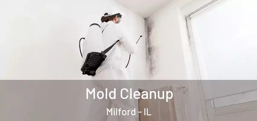 Mold Cleanup Milford - IL