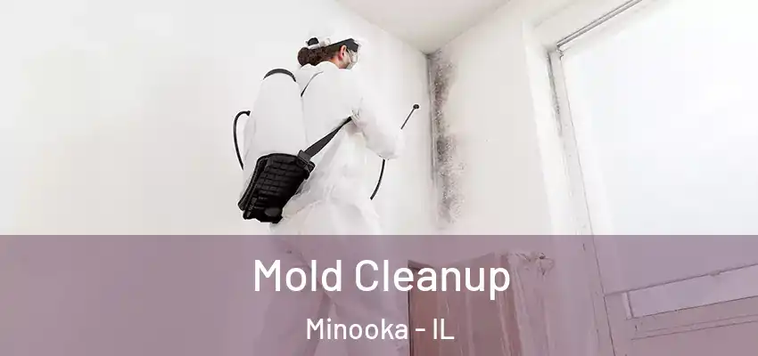  Mold Cleanup Minooka - IL