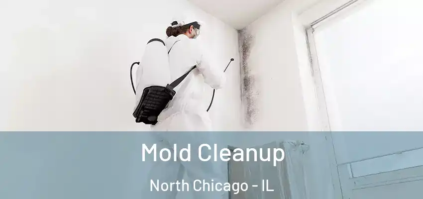 Mold Cleanup North Chicago - IL