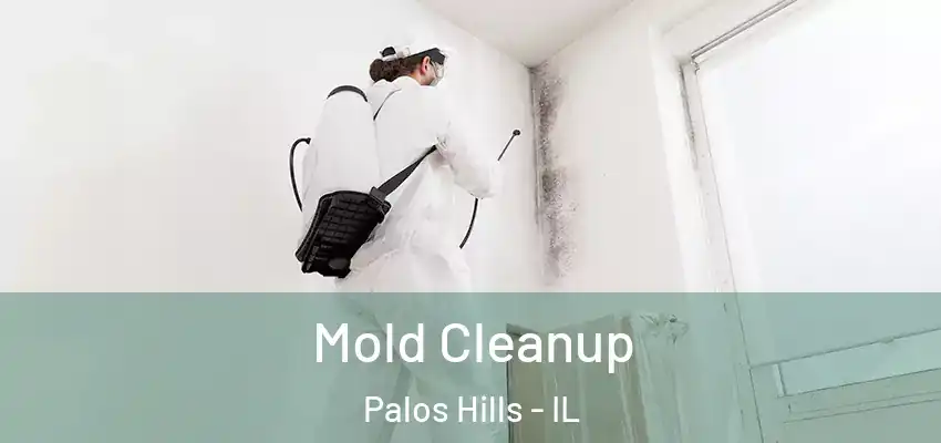 Mold Cleanup Palos Hills - IL