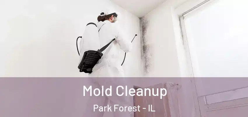 Mold Cleanup Park Forest - IL
